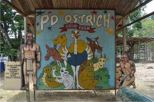 ostrich farm about